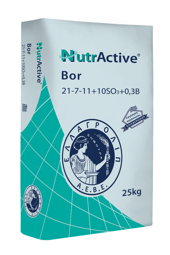 NutrActive bor